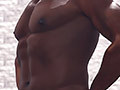 cocks